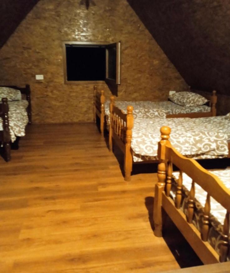 -do- Gradac Apartment Savnik